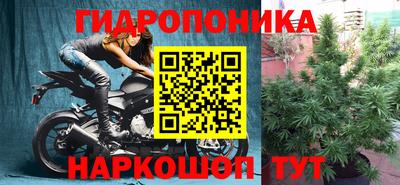 эйфоретик Лесосибирск