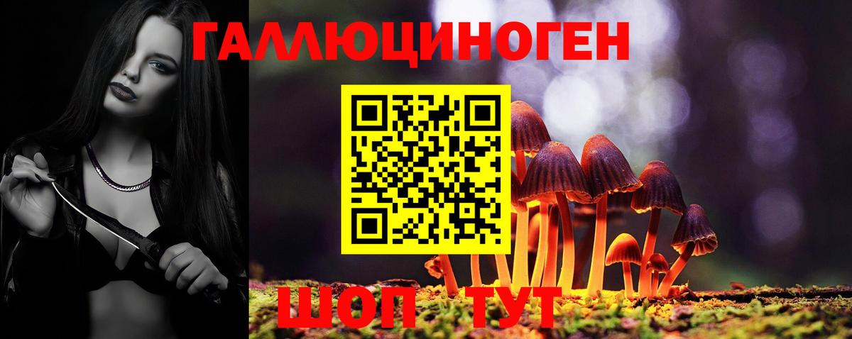 сколько стоит  Галлюциногенные грибы Psilocybe  Галлюциногенные грибы мицелий  Вход с VPN  Шали 