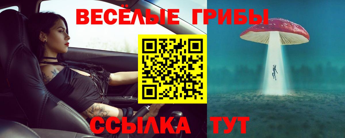 Псилоцибиновые грибы мухоморы Шали